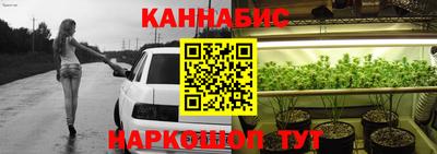 прущие крисы Кандалакша
