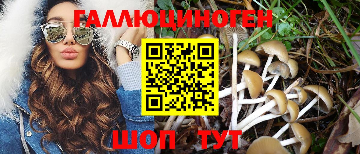 Псилоцибиновые грибы MAGIC MUSHROOMS Всеволожск